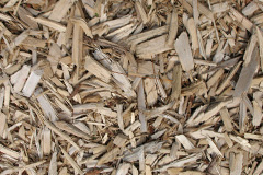 biomass boilers Kidwelly